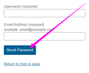 Reset-Password-