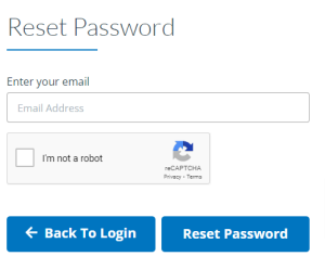 Reset Password 