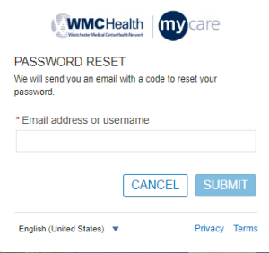 WMC Patient Portal forgot password